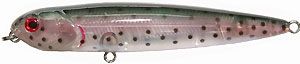 ������ AIKO ROVER 98F 8,8�� 10,6� / G25R