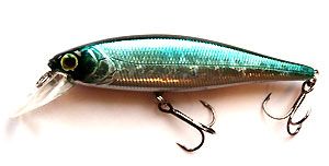 ������ AIKO ME minnow 100Su 10�� 16� / HC02