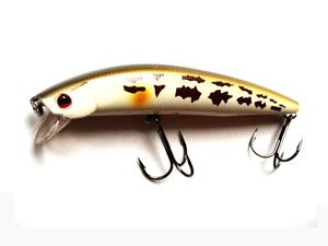 ������ AIKO WHALE 120F 12�� 18,3� / S24