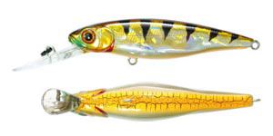 ������ Pontoon21 Greedy-Guts 55F-SR (3,9�, 0,5-0,8�) / 407